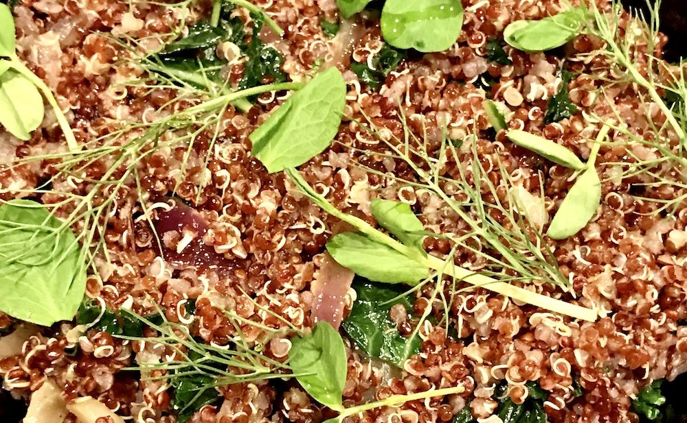 Quinoa with fennel & kale